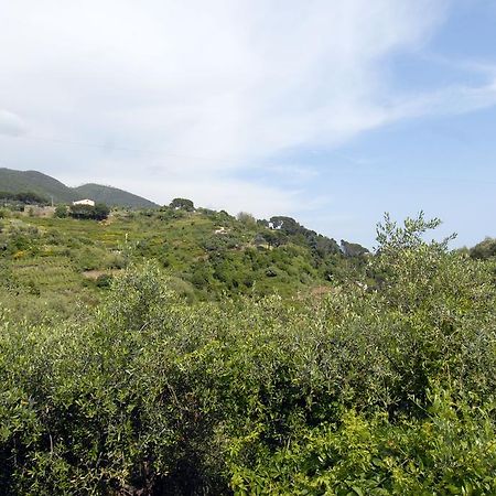 מונטרוסו אל מארה Villa Caribe Affittacamere מראה חיצוני תמונה