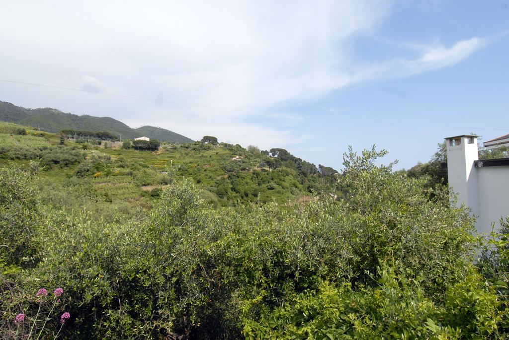 מונטרוסו אל מארה Villa Caribe Affittacamere מראה חיצוני תמונה